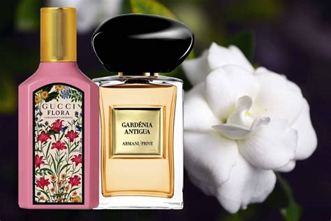 perfume de gardenia fechas